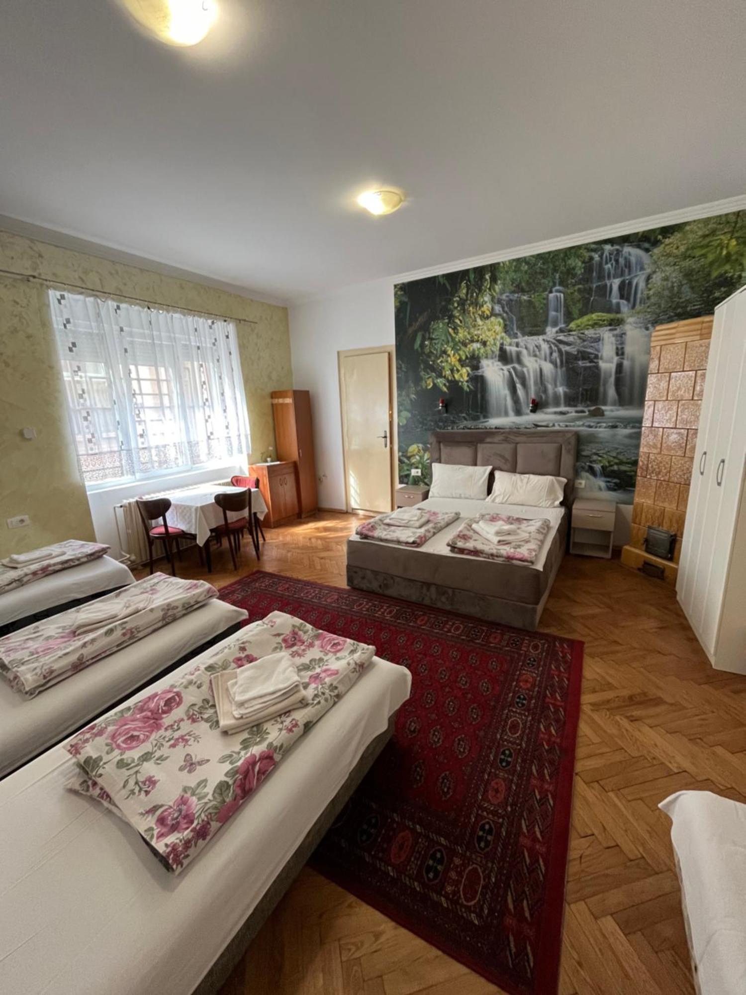 Sobe Sa Sopstvenim Kupatilom Private Rooms Bathroom In Center 诺威萨 外观 照片
